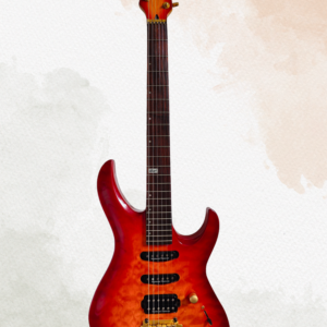 Cort S2900 Custom