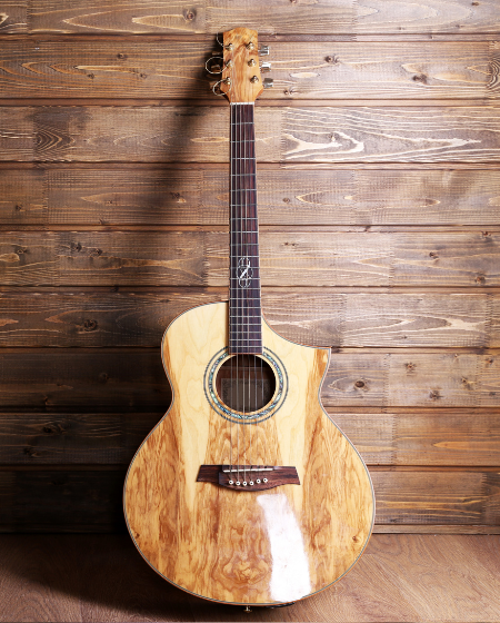 Acoustic Guitar